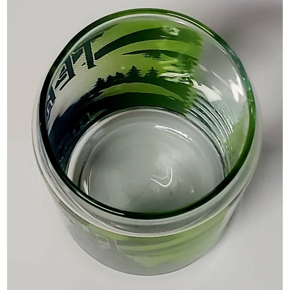 Terrapin Beer Co. PInt Glass Recreation Ale Athens GA Clear Lime and Evergreen - Picture 7 of 8